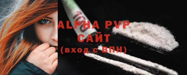 прущие грибы Слюдянка