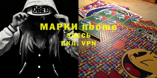 прущие грибы Слюдянка