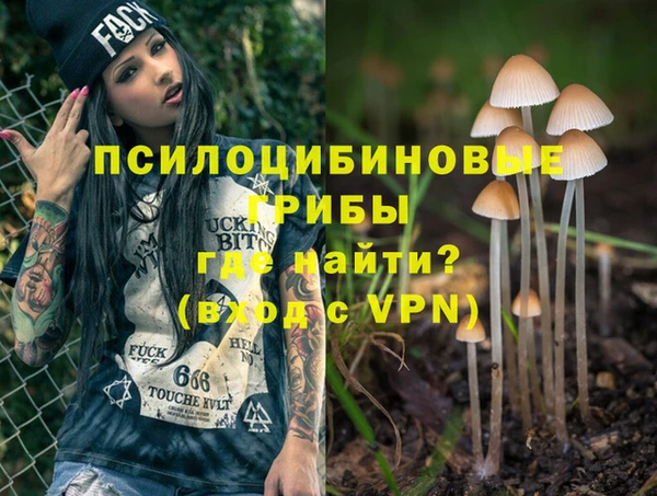 mdpv Снежинск
