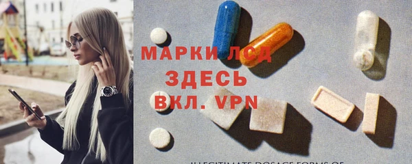 прущие грибы Слюдянка