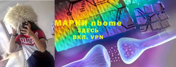 прущие грибы Слюдянка