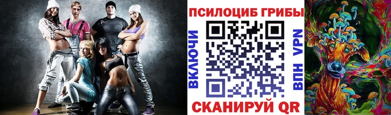 Псилоцибиновые грибы Cubensis  MEGA как зайти  Судогда 