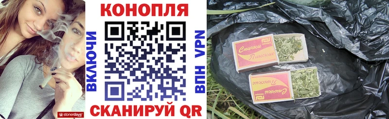 Каннабис семена Судогда